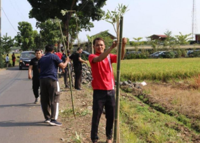 OPD di Kabupaten Pemalang Tanam Ratusan Pohon Tabebuya  ‎