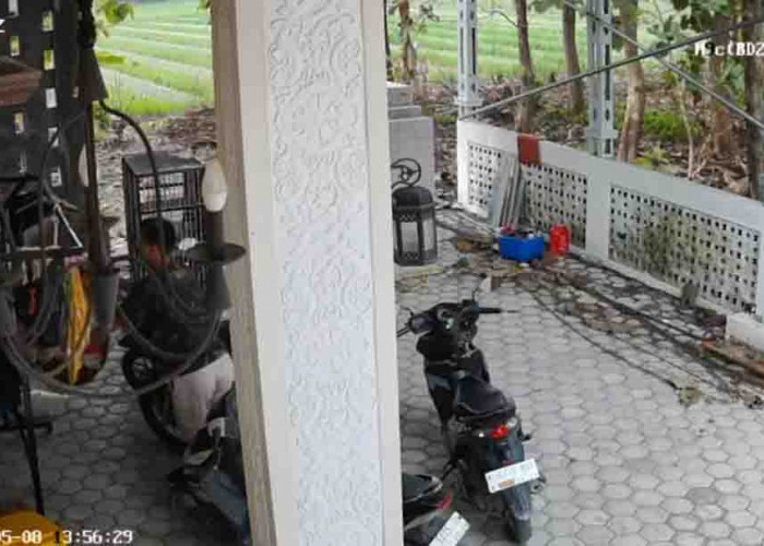 Heboh Pencurian Celana Dalam Wanita di Grobogan, Polisi Periksa Saksi-saksi