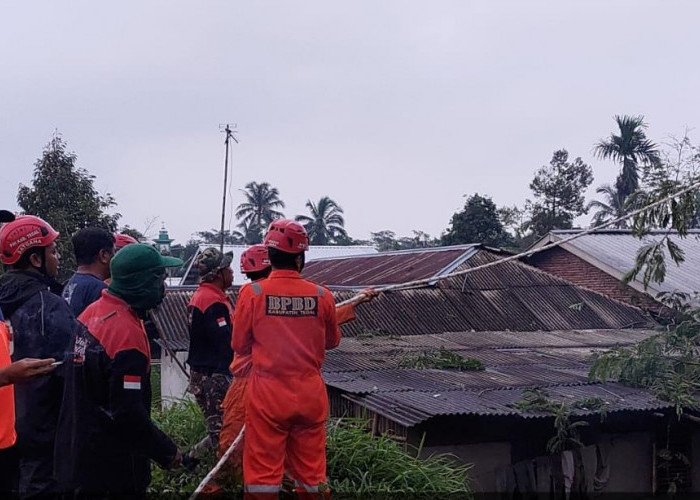 BPBD Kabupaten Tegal Lakukan Asesmen Cepat Bencana Puting Beliung