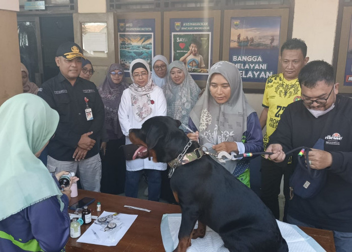 Animo Tinggi, Pj Bupati Batang Ingin Kembangkan Pasar Murah Dislutkanak