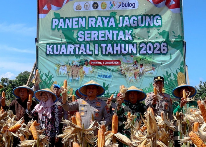 Dukung Program Ketahanan Pangan, Kolaborasi Polres Pemalang dan Petani Hasilkan Panen Jagung melimpah