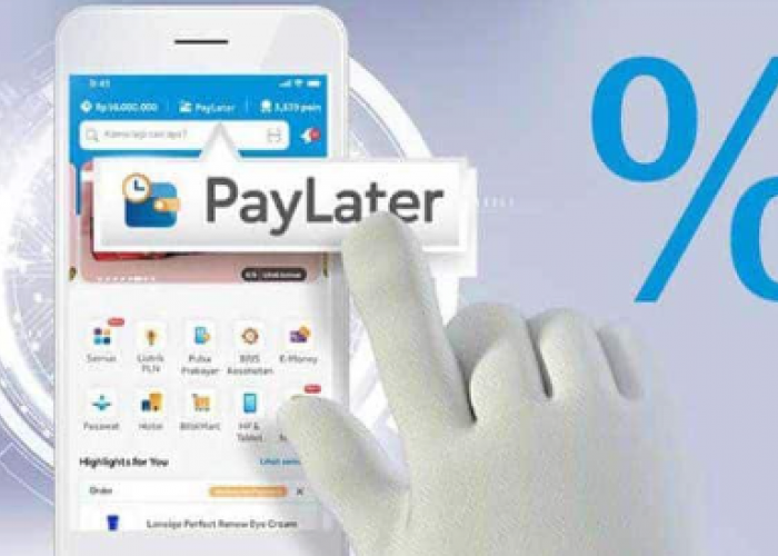 6 Paylater Resmi di Indonesia