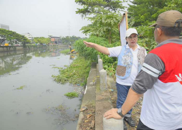 Wali Kota Agustina Siapkan Jembatan 45 Meter, Akses UMKM Pengasapan Ikan Bandarharjo Diperkuat
