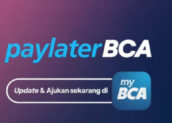 BCA Payletter, Salah Satu Pinjol Limit Tinggi Untuk Segala Solusi Perbelanjaanmu, Ajukan Sekarang