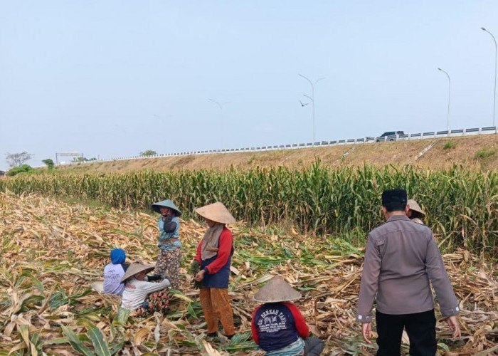 Bahaya Asap Pembakaran Mengintai Pengendara Tol Pejagan–Pemalang, Polsek Talang Tegal Turun Tangan