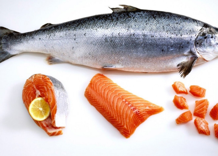 5 Manfaat Ikan Salmon Untuk Kesehatan dan Perkembangan Anak, Ibu Wajib Tahu!