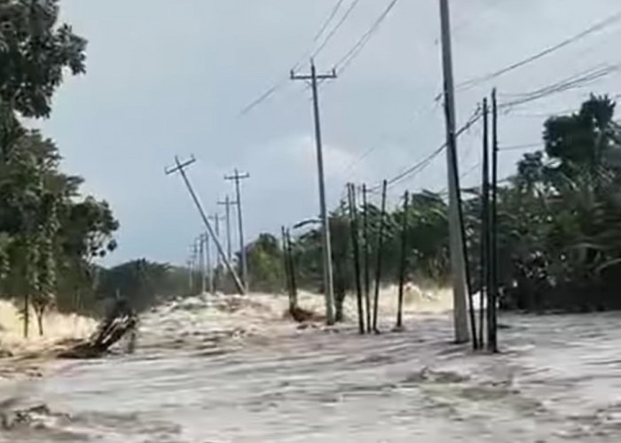 Jalan Provinsi Semarang - Purwodadi Lumpuh Total Akibat Jebolnya Tanggul Sungai Tuntang