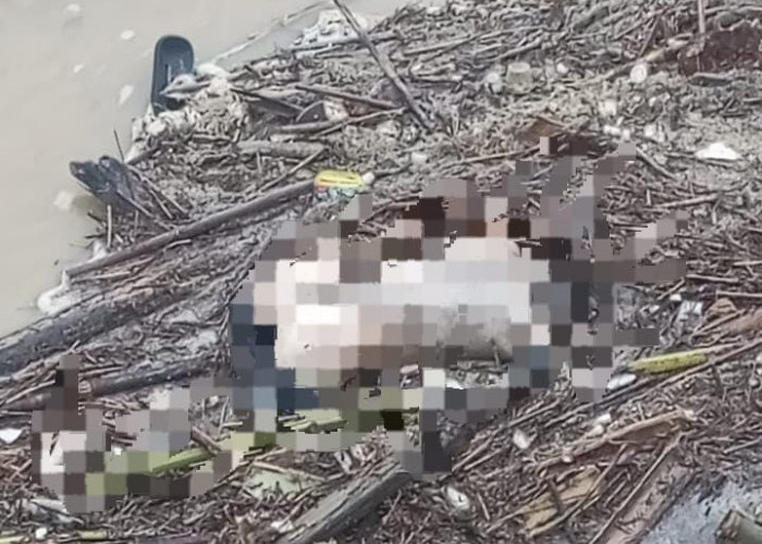 Bocah Tenggelam Ditemukan Mengambang di Bendungan Guntur, BPBD Demak Lakukan Evakuasi