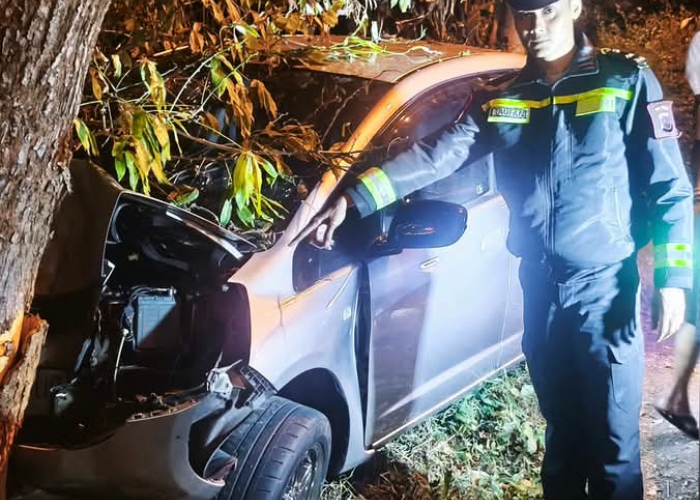 Honda Jazz Tabrak Pohon di Salatiga, Pengemudi Asal Kabupaten Semarang Luka Kaki Kiri