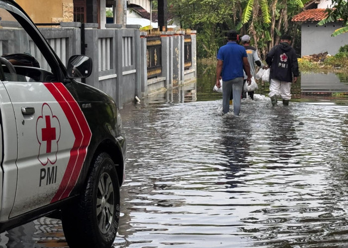 Banjir di Sidakaton, PMI Tegal Dirikan Dapur Umum dan Salurkan Ribuan Nasi Bungkus