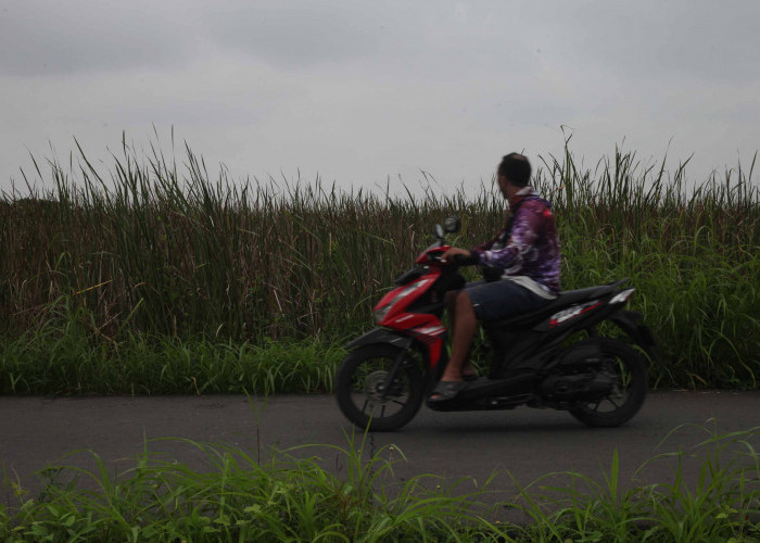 19 Kelurahan Kota Tegal Terdampak Intrusi Air Laut, Total 1.570 Hektare