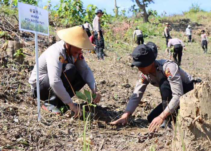 Hutan Gundul Guyangan Rawan Bencana, Polresta Pati Tanam Ribuan Bibit Pohon Jati 