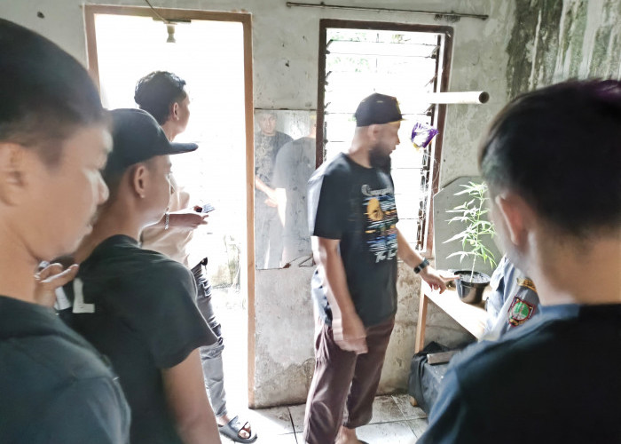 Rumah di Kerten Solo Dijadikan Tempat Tanam Ganja