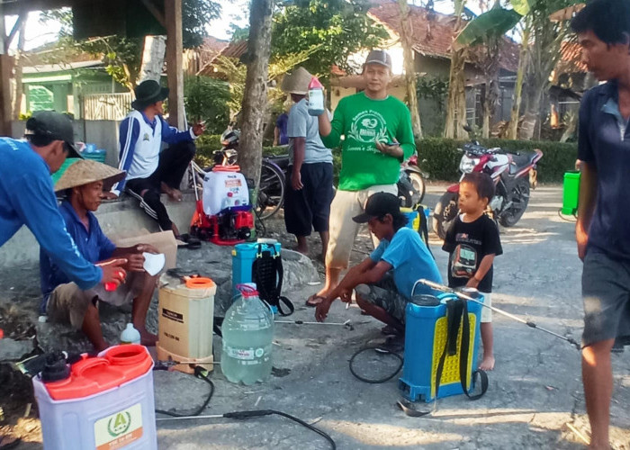 Petani Jatiluhur Gelar Gerdal Perdana untuk Kacang Hijau, Targetkan Hasil Panen Maksimal