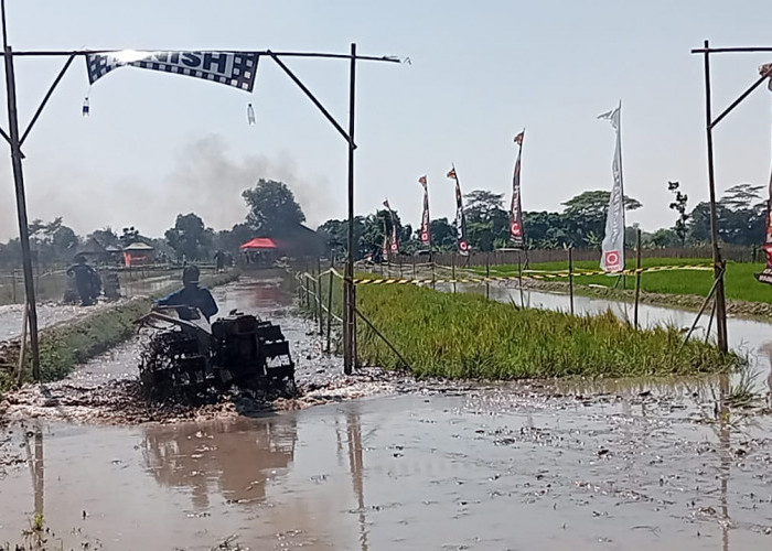 Lomba Bajak Sawah HUT ke-81 RI di Klaten Diikuti Lintas Provinsi di Pulau Jawa