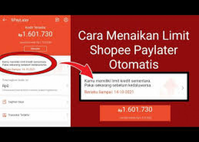 4 Cara Mudah Menaikkan Limit Shopee PayLater