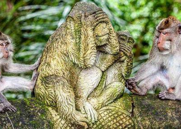Ini Dia 2 Daya Tarik Wisata Monkey Forest Ubud Bali