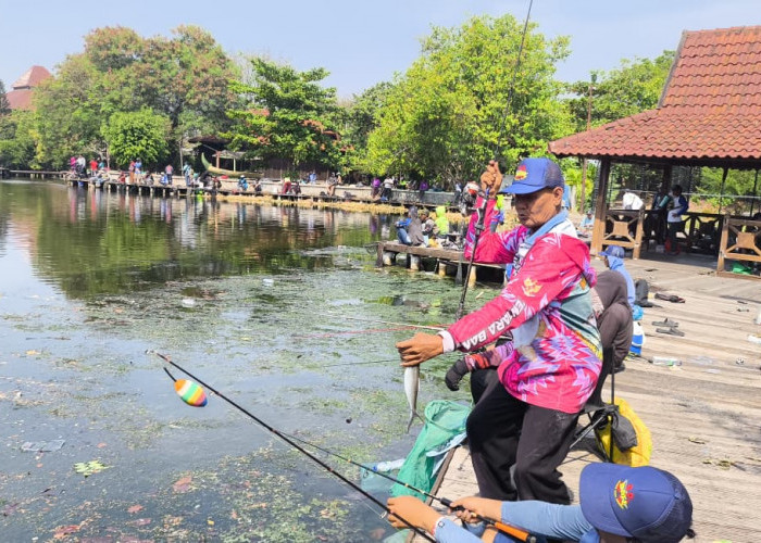 532 Pemancing Serbu Grand Maerakaca, Mabar Bandeng BMI Tebar 1 Ton Ikan Perkuat Wisata Perikanan Semarang