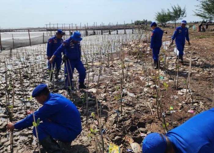 Abrasi Jadi Ancaman Serius Wilayah Pesisir Pantura Pati