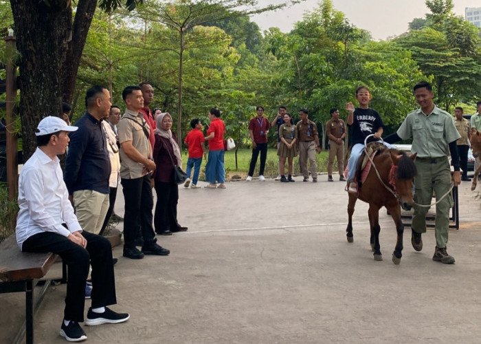 Presiden RI Ke-7 Joko Widodo Ajak Ketiga Cucunya Lihat Zebra dan Naik Kuda di Solo Safari