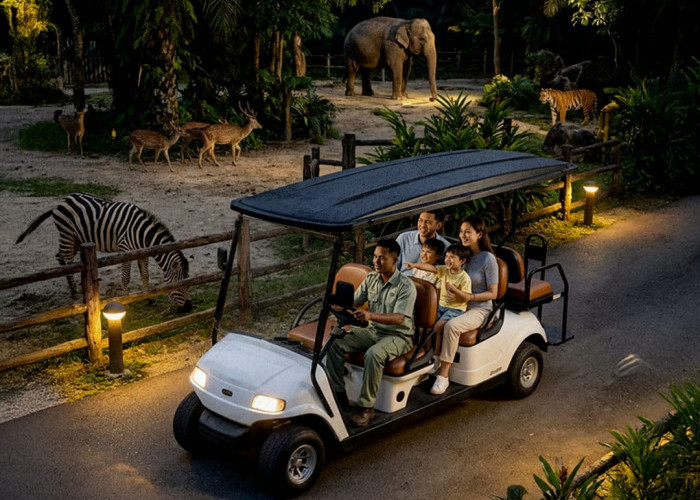 Uniknya Berwisata Lebaran Jelajahi Satwa di Malam Hari di Kota Solo