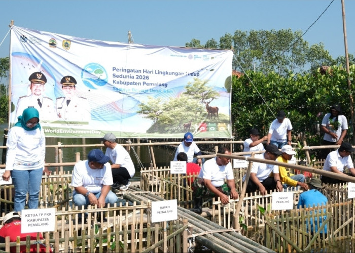 Hadapi Ancaman Abrasi, Pemkab Pemalang Tanam 3.000 Mangrove di Pesisir Ulujami