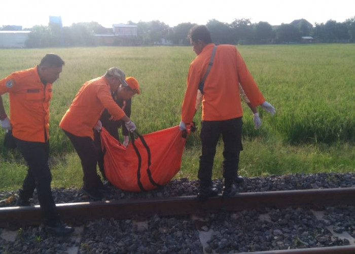 Seorang Pria Tewas Tertabrak KA Mutiara Selatan 