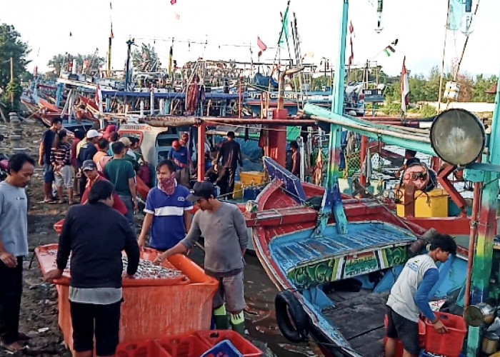 Tempat Sandar Kapal TPI Tanjungsari Kabupaten Pemalang Melebihi Kapasitas 