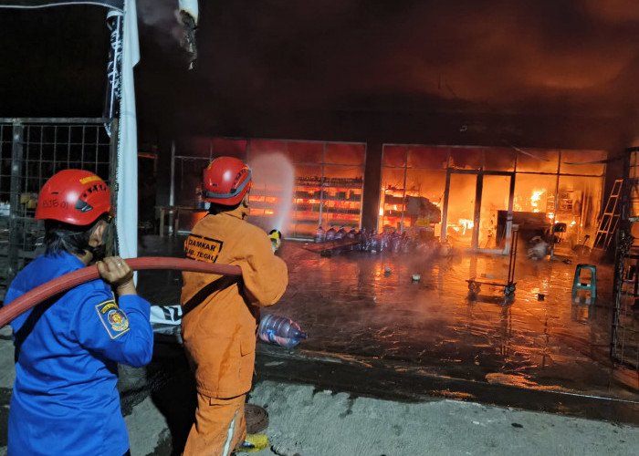 Ancaman Kebakaran Musim Kemarau Kian Tinggi, Petugas Damkar di Tegal Bertarung dengan 'Senjata' Seadanya 