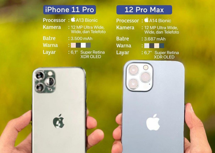 iPhone 11 Pro vs iPhone 12 Pro Max, Mana yang Lebih Unggul?