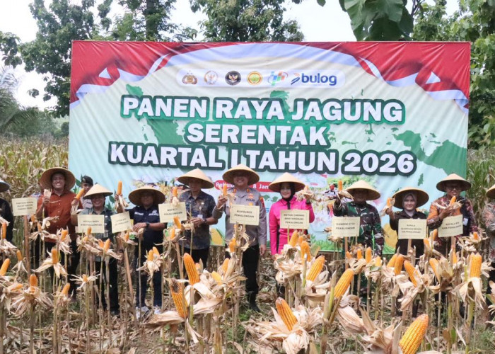 Dorong Swasembada Pangan 2026, Polres Pekalongan Perkuat Produksi Jagung Lokal di Lahan Binaan