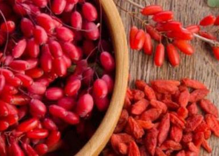 4 Manfaat Buah Goji Berry untuk Kesehatan Kulit Kita