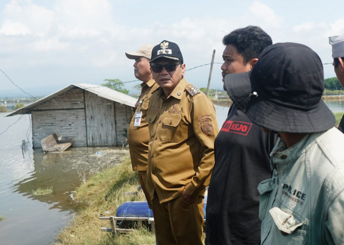 Wilayah Pati Dikepung Ancaman Leptospirosis, Warga Bumi Mina Tani Diimbau Waspada