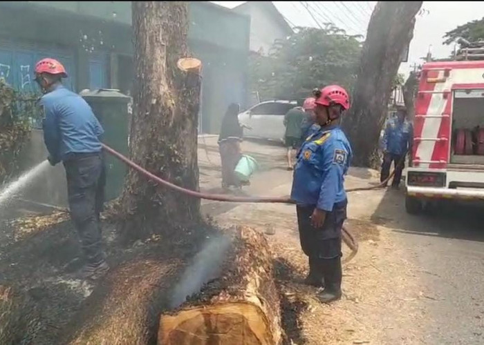 Gedung MWC NU Slawi Nyaris Dilalap Api, Rumah Warga Ikut Terancam