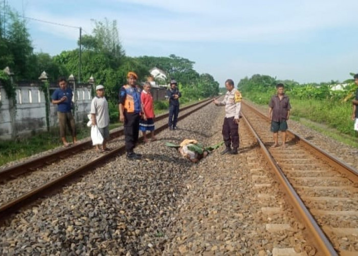 Tertemper KA 11 Argo Sindoro, Nyawa Pejalan Kaki Tanpa Identitas Melayang di TKP