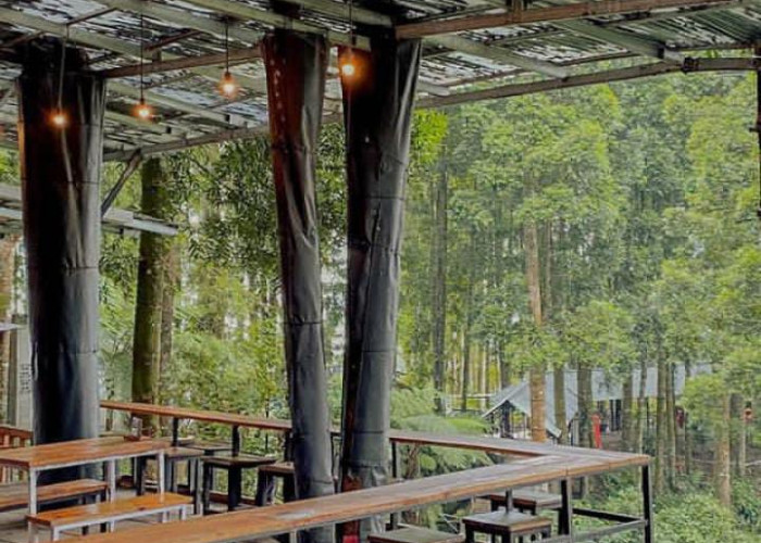 Rekomendasi Cafe Hits di Batang Dengan Pemandangan Alam yang Indah, Nomor 2 Terfavorit!