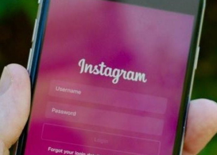 Cara Melacak Akun Instagram Palsu dan Mendapatkan Datanya