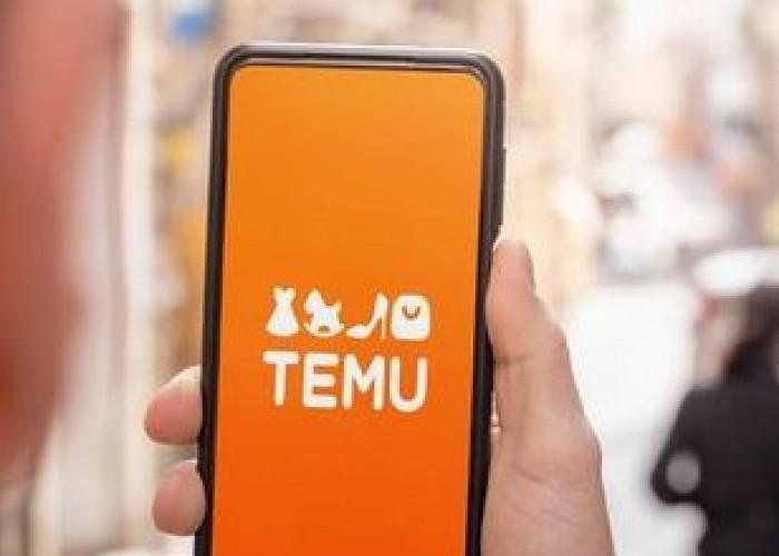 Risiko Berbahaya Menggunakan Aplikasi Temu dari Perspektif Keamanan