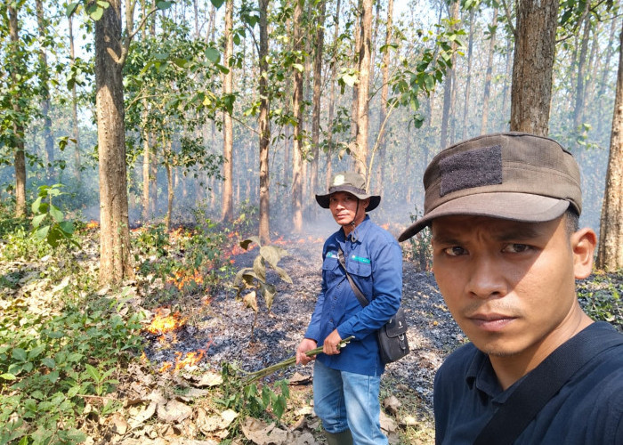 Jaga 3.553 Hektare Hutan Batang, BKPH Subah: Sudah Ada Kebakaran 1,5 Hektare