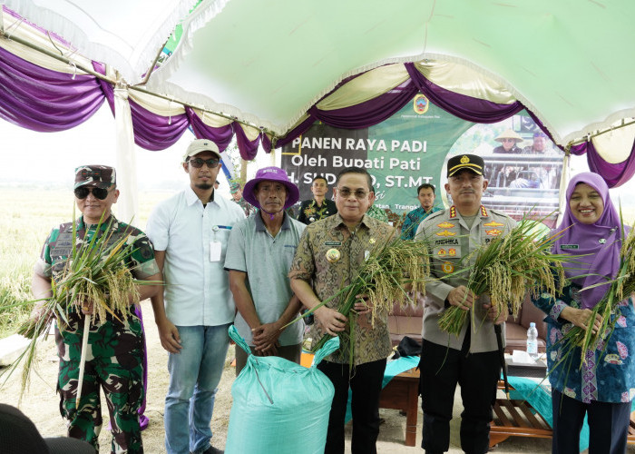 Obsesi Bupati Pati Wujudkan Panen Padi 10 Ton Per Hektar