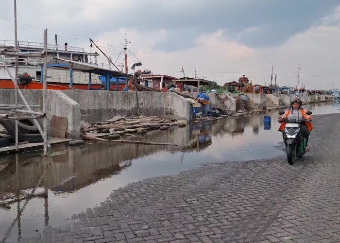 BMKG Peringatkan Potensi Rob Pesisir Pantura Jateng akibat Supermoon