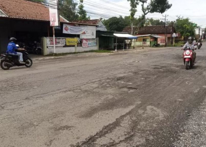 Kondisi Jalan Provinsi di Blora Banyak yang Rusak Parah Dibiarkan Mangkrak 17 Tahun, Ratusan Lubang Bertebaran