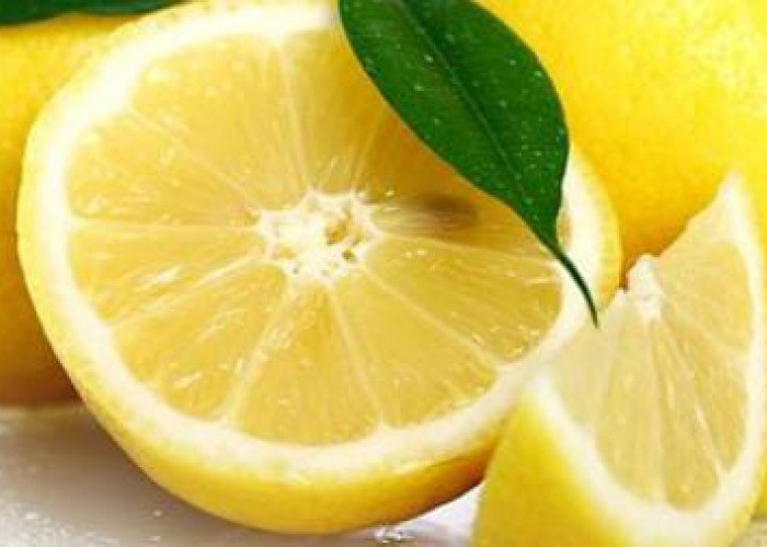 Buah Lemon: Rasanya yang Segar dan Mempunyai 6 Kandungan Baik untuk Kulit 