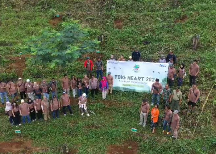 TBIG Tanam 6.600 Pohon di Hutan Petungkriyono Pekalongan, Serap 470 Ton Karbon