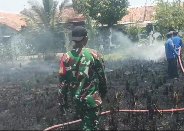 Dua Hari Berturut-turut, Pedagangan Tegal Diteror Kobaran Api