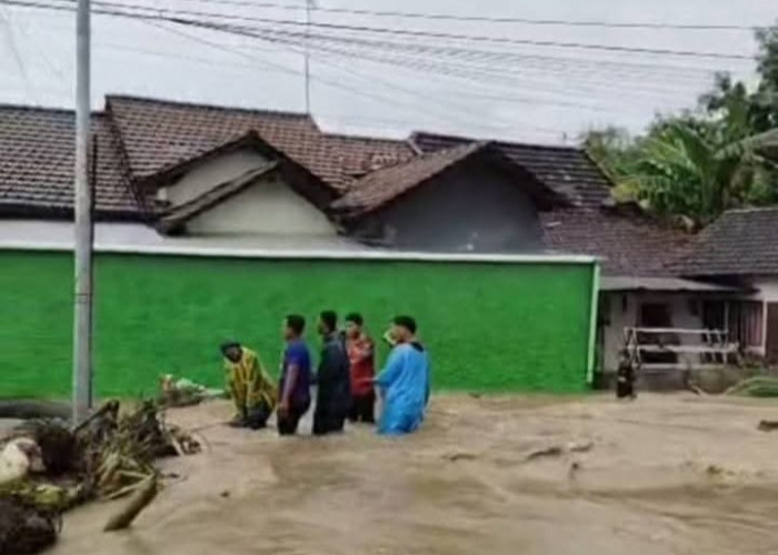 Tanggul Kali Jawik Kudus Jebol Dihantam Banjir, Merendam Pemukiman Warga Desa Pladen
