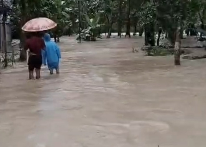 Diguyur Hujan Lebat, 12 Desa di Grobogan Banjir Akibat Sungai Meluap, Kini sudah Surut