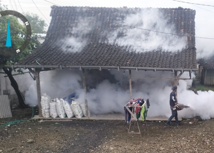 19 Warga Sugihmanik Dikabarkan Alami Gejala Chikungnya, Dinkes Grobogan Lakukan Ini