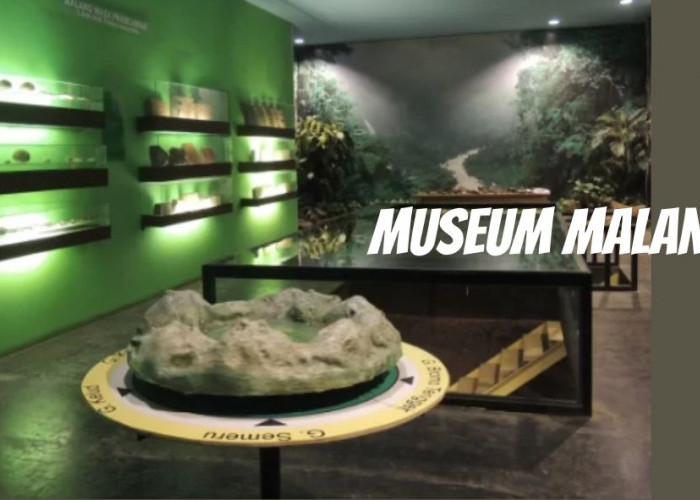 Ada yang Gratis! Berikut 4 Rekomendasi Museum Malang dengan Koleksi Sejarah hingga Kekinian