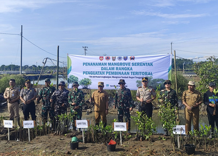 Wujud Sinergitas TNI-Polri dan Kepedulian Lingkungan, Gelar Penanaman Mangrove Serentak di Tegal